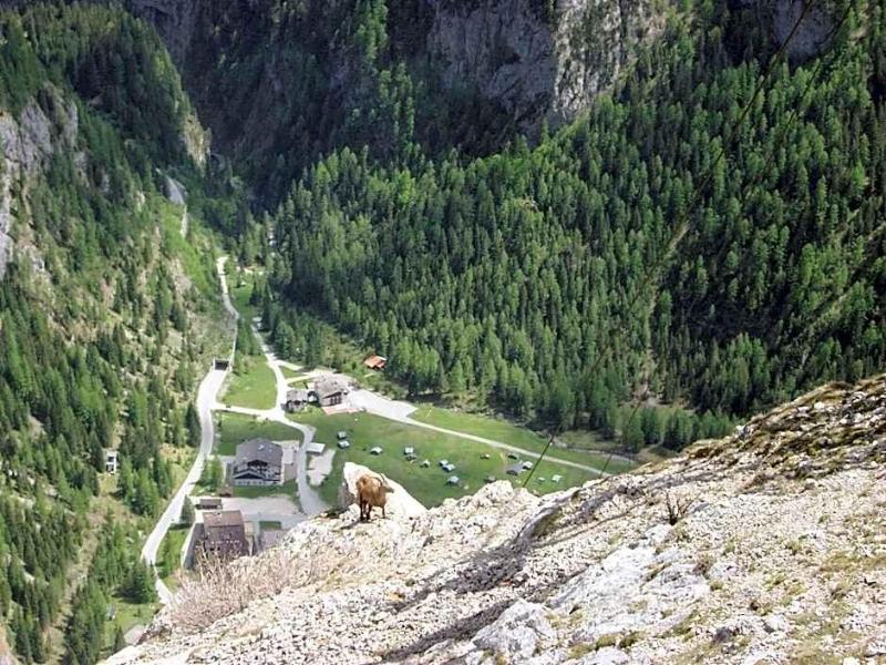 Albergo Genzianella image