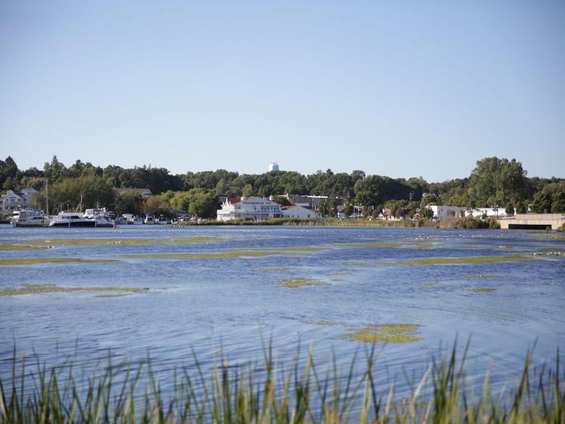 The Weathervane Inn image