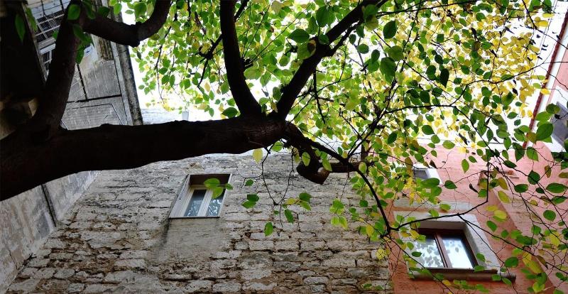 Suite Home Trani image
