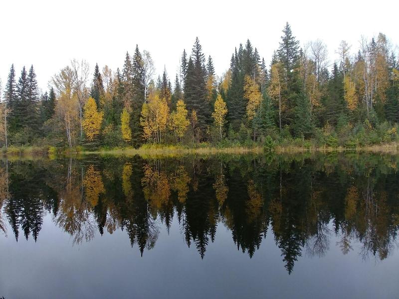Wolfwood Guest Ranch — general view