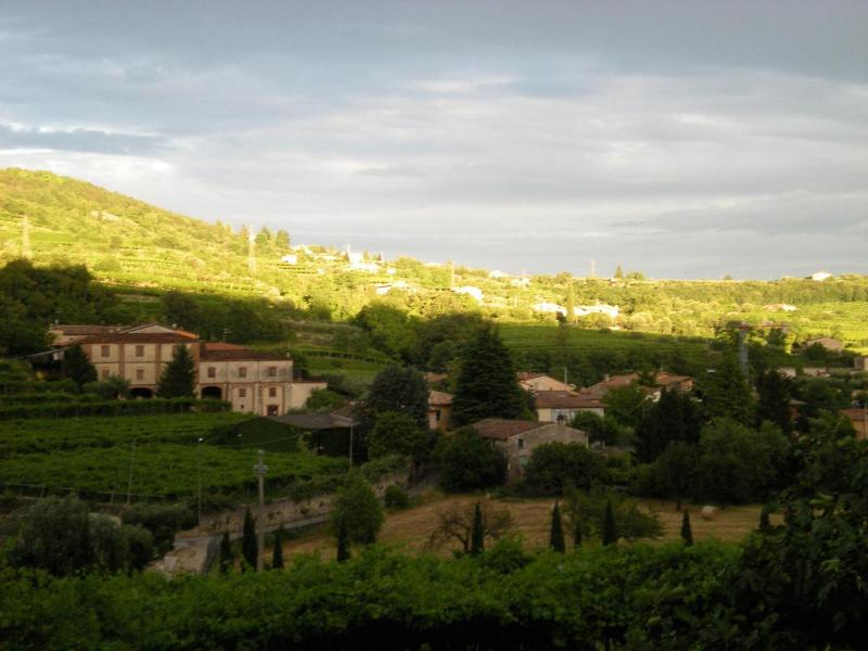 B&B La Bella Vigna image