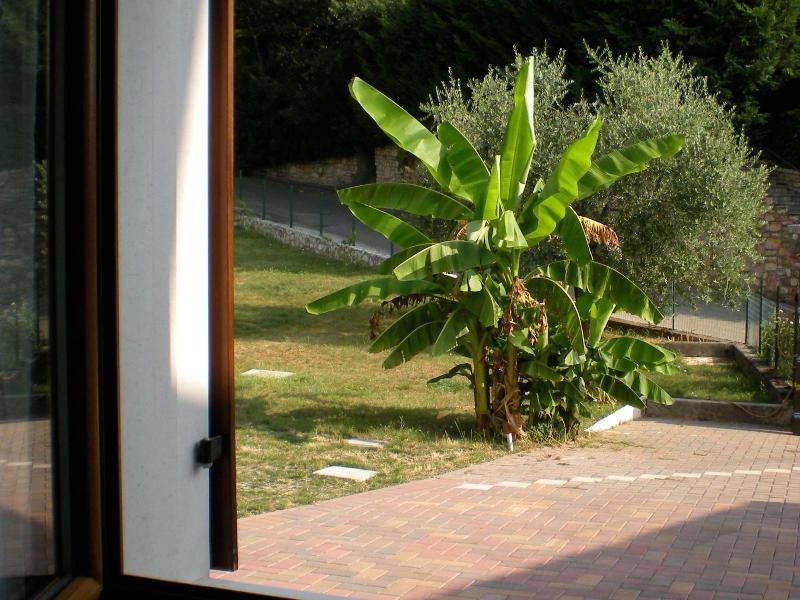 B&B La Bella Vigna image
