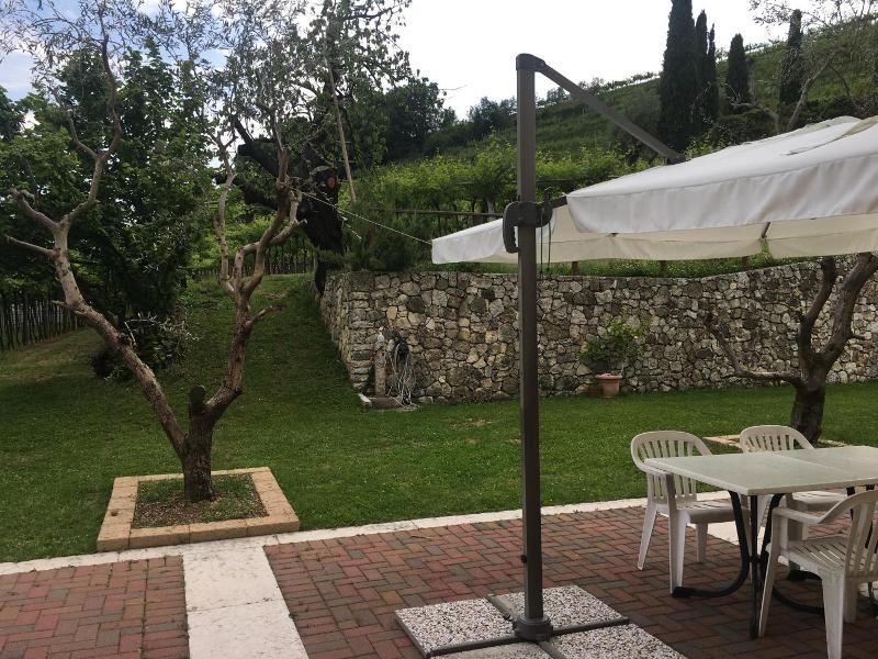 B&B La Bella Vigna image