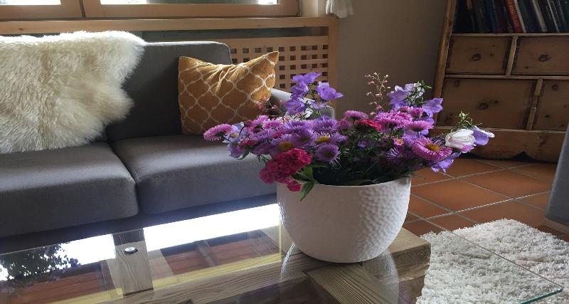 Fedaia Joy B&B