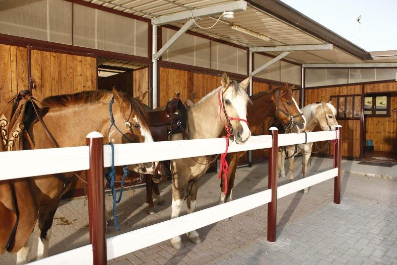 B&B Le Corone - Image 1