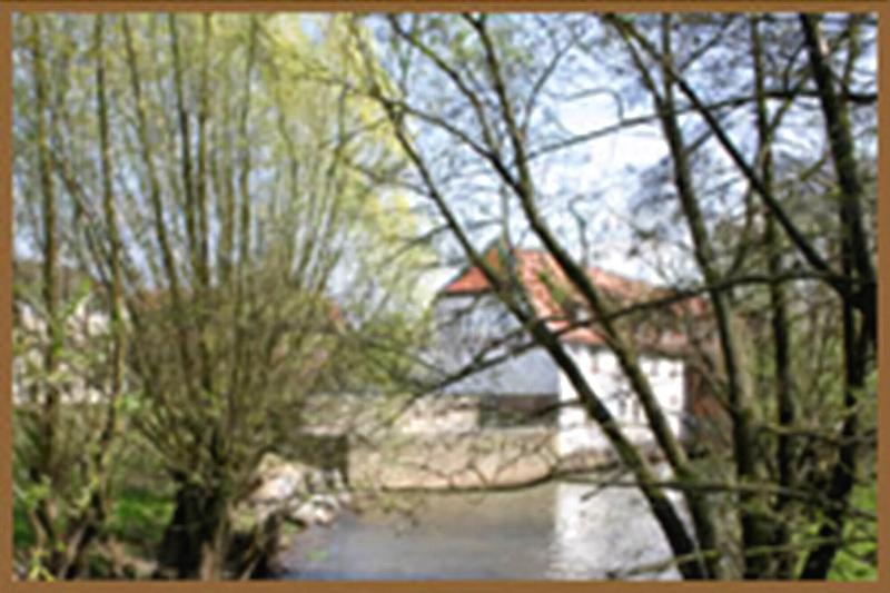 Brauhaus Wiesenmühle image