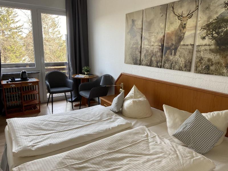 Berghotel Hahnenklee Mit Ferienhaus image