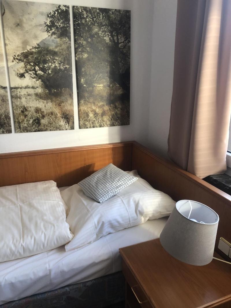 Berghotel Hahnenklee Mit Ferienhaus image