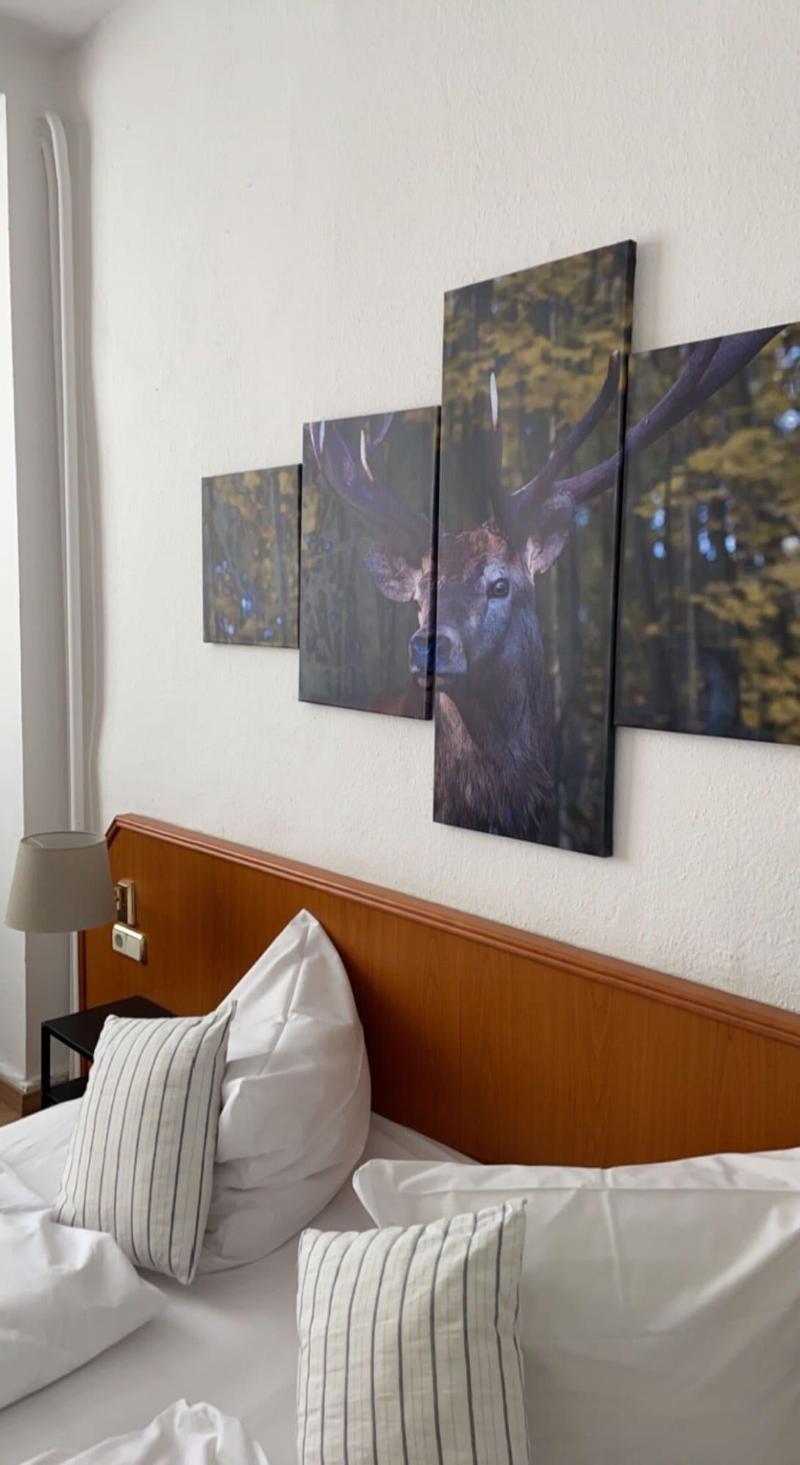 Berghotel Hahnenklee Mit Ferienhaus image