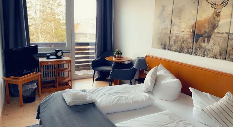 Berghotel Hahnenklee Mit Ferienhaus image