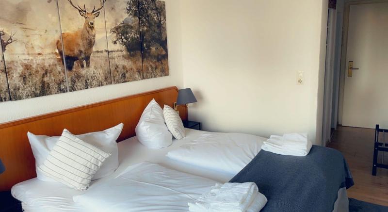 Berghotel Hahnenklee Mit Ferienhaus image