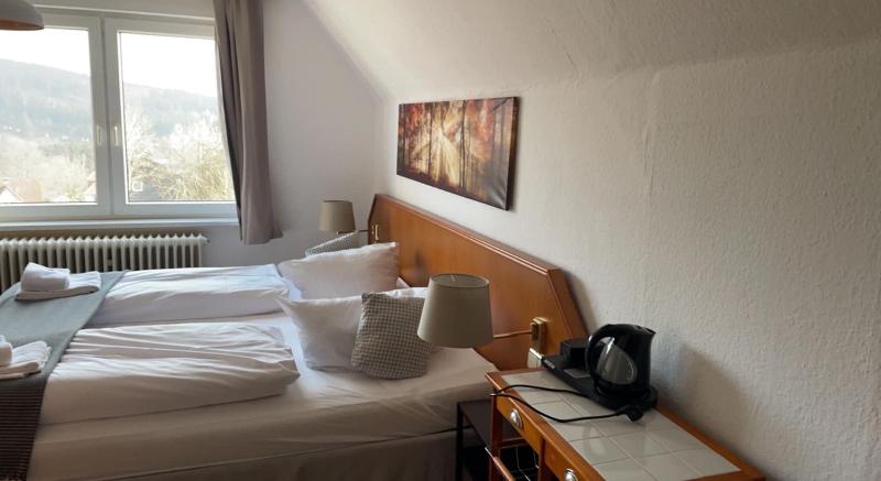 Berghotel Hahnenklee Mit Ferienhaus image