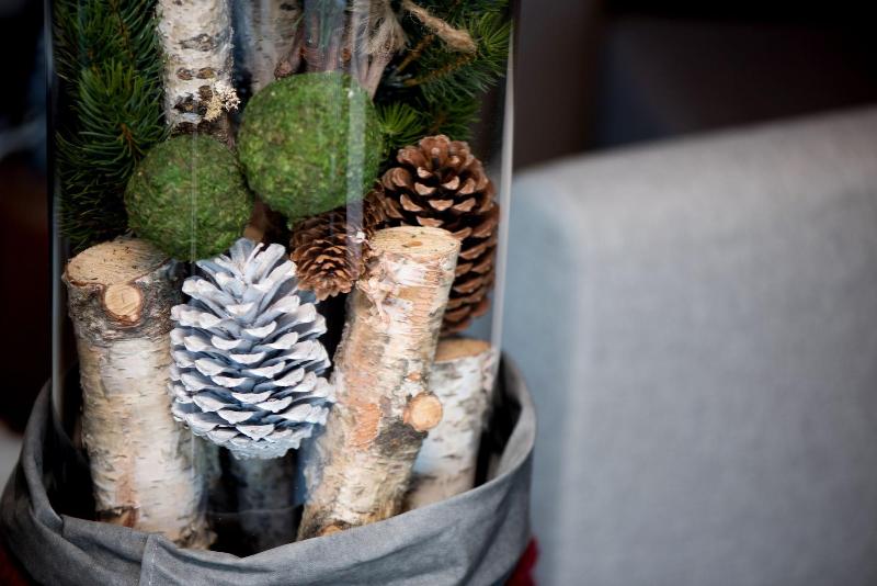 Hotel Pinei Nature & Spirit image