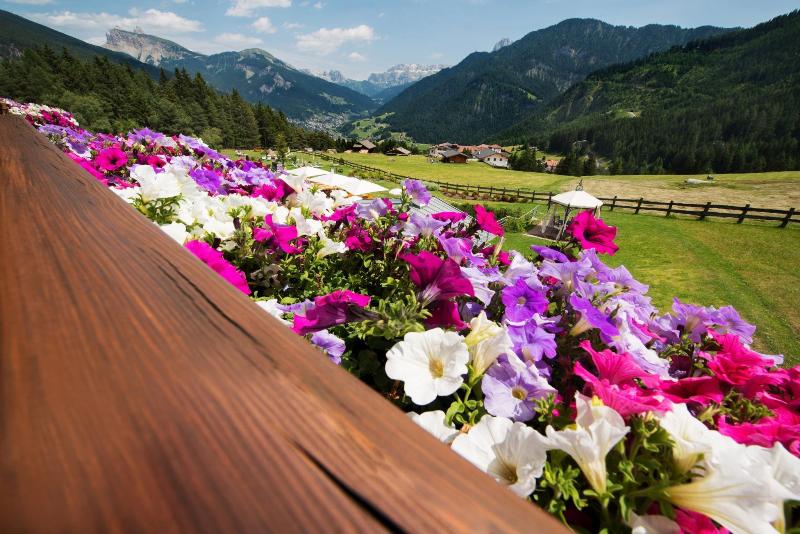 Hotel Pinei Nature & Spirit image