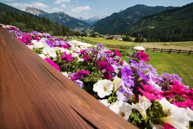 Hotel Pinei Nature & Spirit image