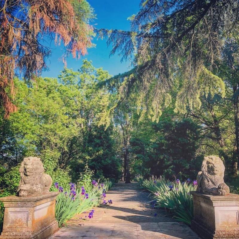 Charme Of Villa Capannina image
