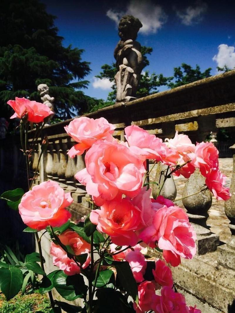 Charme Of Villa Capannina image