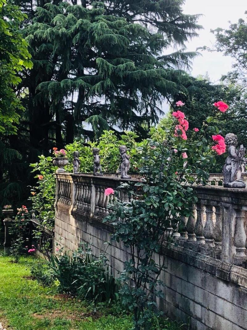 Charme Of Villa Capannina image