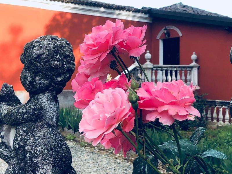 Charme Of Villa Capannina image