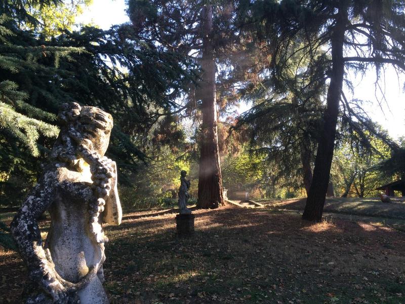 Charme Of Villa Capannina image