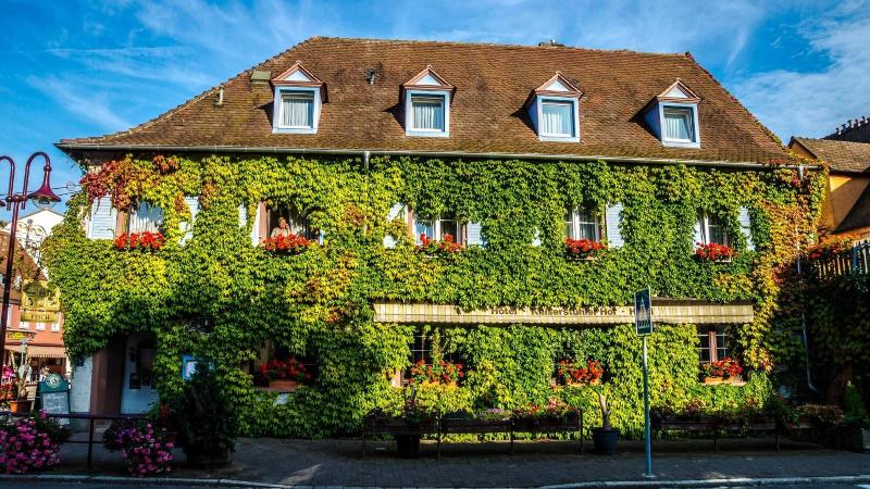 Hotel Restaurant Kaiserstuehler Hof image
