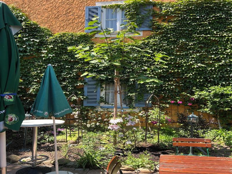 Hotel Restaurant Kaiserstuehler Hof image
