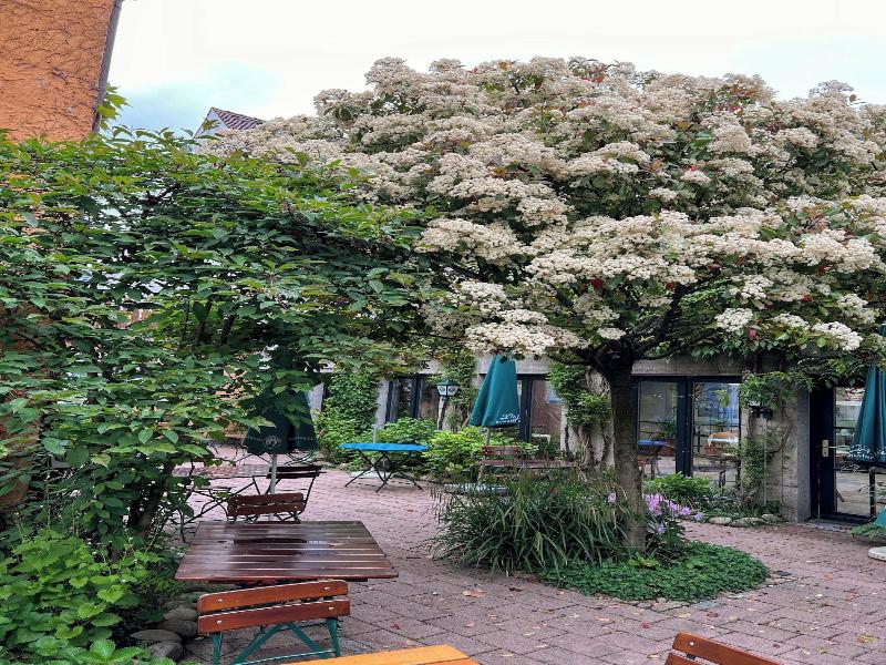 Hotel Restaurant Kaiserstuehler Hof image