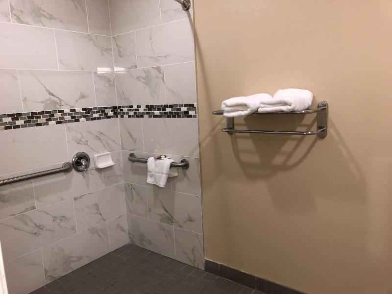 Downtowner Inns image