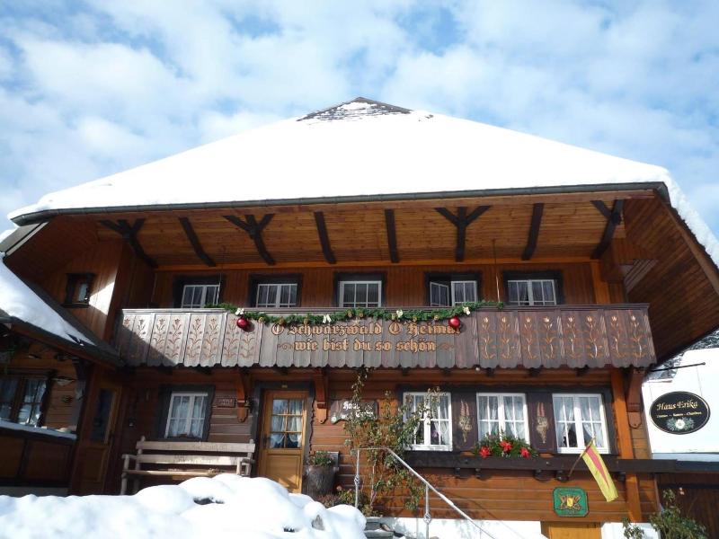 Haus Erika image