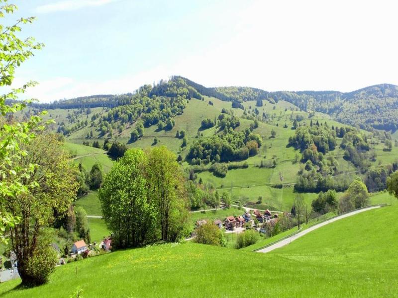 Haus Erika image