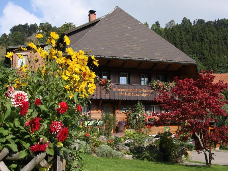 Haus Erika image