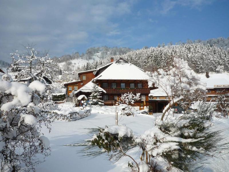 Haus Erika image