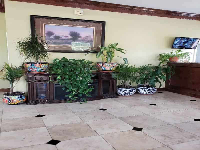 Taylor Village Inn And Suites image