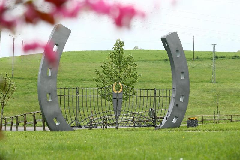 Allgäu Meadow Ranch image
