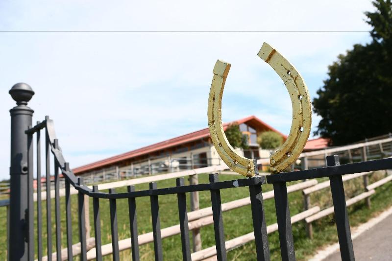Allgäu Meadow Ranch image