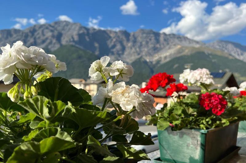 Hotel Ginepro image