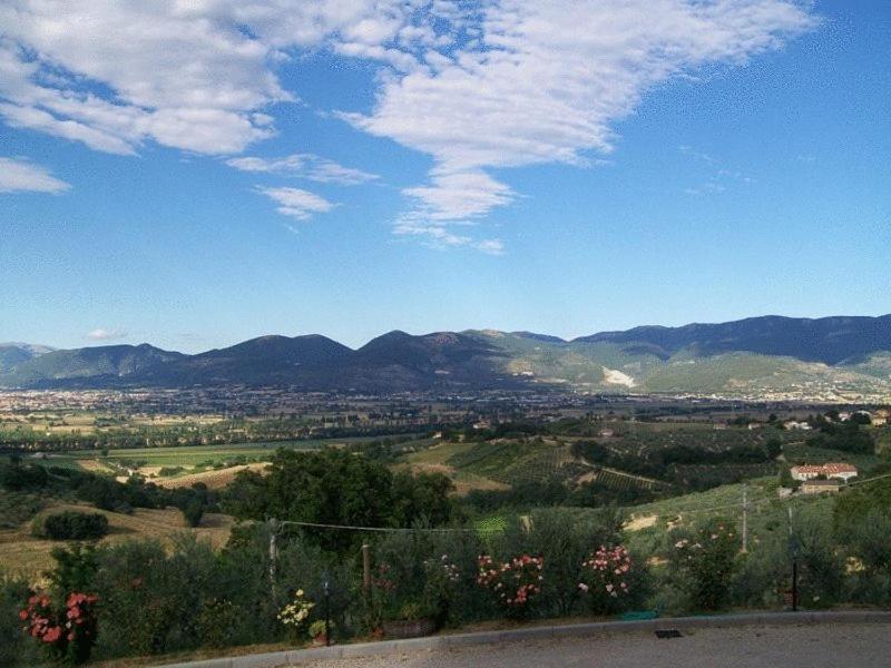 B&B La Collina del Sagrantino — general view