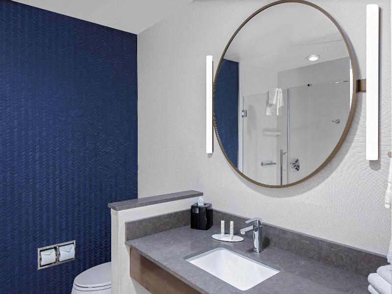 Fairfield Inn & Suites by Marriott Indianapolis Gr image