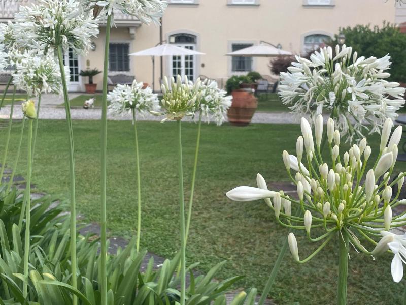 Villa Del Papa image