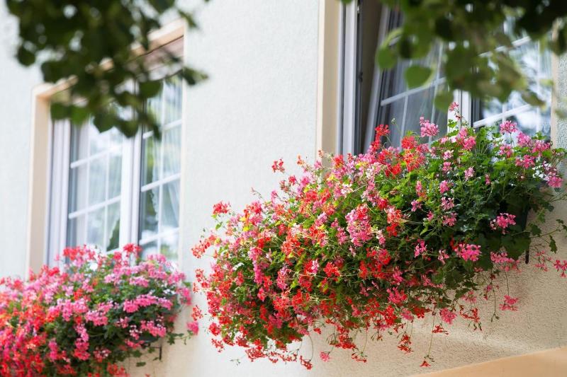 Hotel Und Gasthaus Zum Eichenkranz image