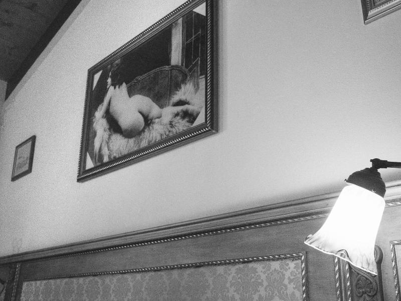 Hotel Villino Della Flanella image
