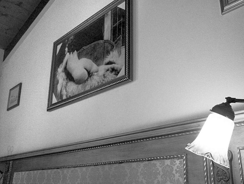 Hotel Villino Della Flanella image