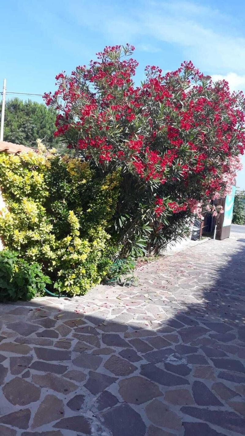 B&B Giorgia Airport image