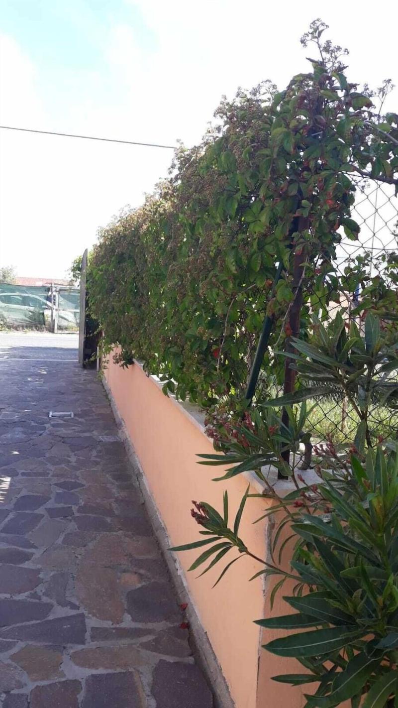B&B Giorgia Airport image