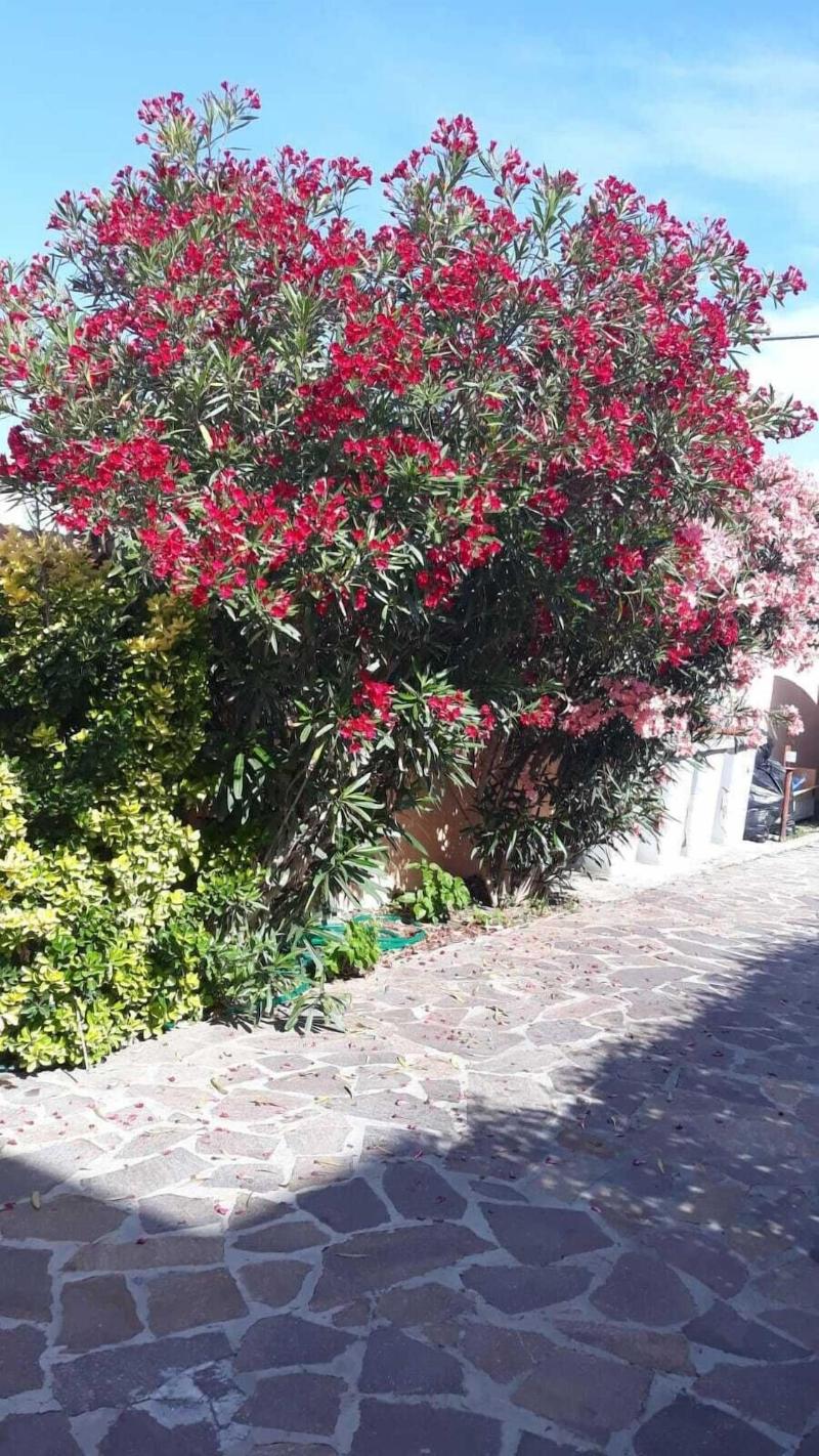 B&B Giorgia Airport image