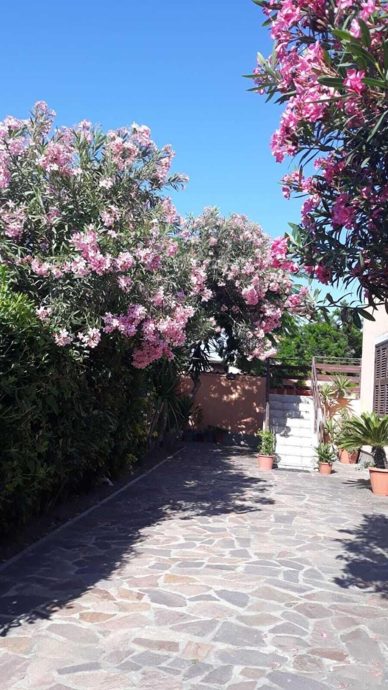B&B Giorgia Airport image