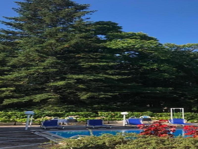Mondial Park Hotel image