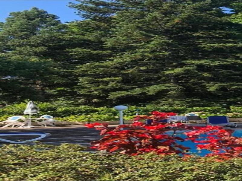 Mondial Park Hotel image
