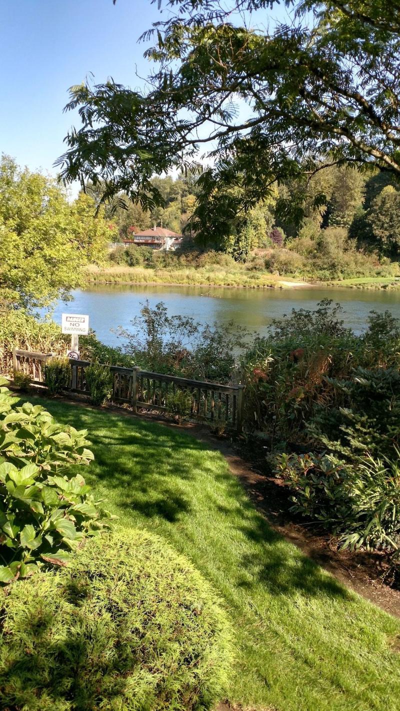 Lewis River Inn image