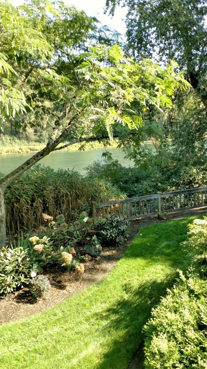 Lewis River Inn image